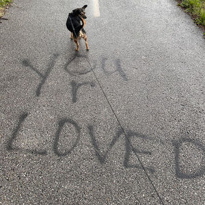 Meet your Posher, Aviana